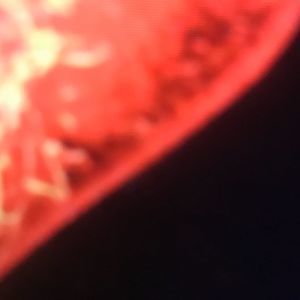 Meet your Posher, Omelchenko